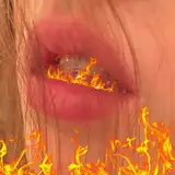 uomnibus