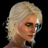 witcherres