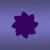lillybyte