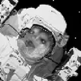 Commonaut