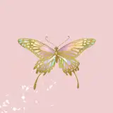 ホリカ
