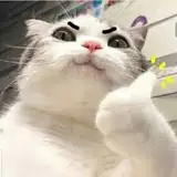 MassaHJ