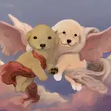 raposilda
