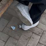 GermanCheeseTrample