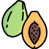 PapayaDood
