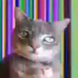 slt