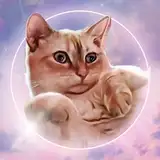whitecatwhispersasmr