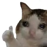 Hahasammi 