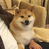 Rob