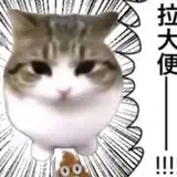 ShangDong