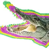 Florida_man