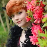 Willow