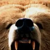 Karinかりん