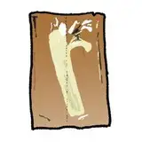 ばかたれ