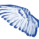 Bluewingwriting