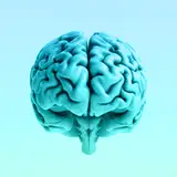 NamelessBrain